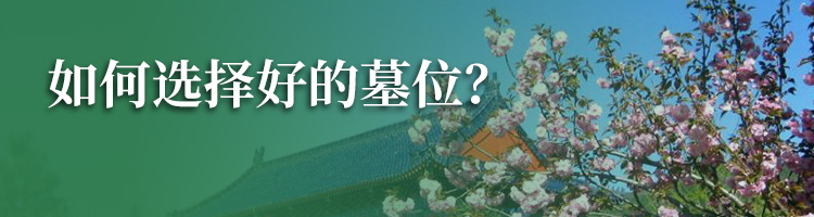 万桐园